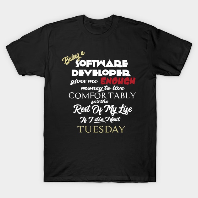 Being a software developer T-Shirt by AshStore